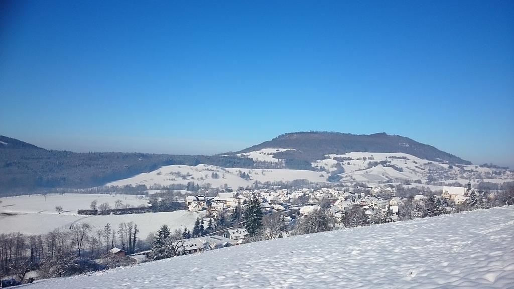 Familien Themen-Appartement Freiburg In Soelden 2 Schlafzimmer Zewnętrze zdjęcie