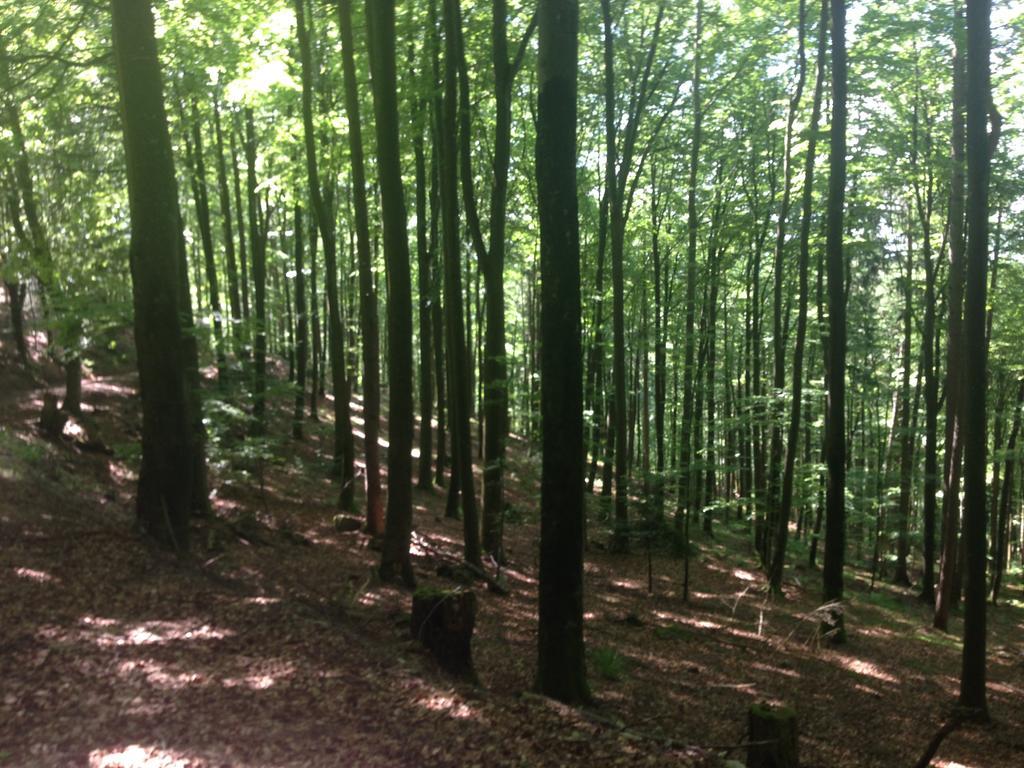 Familien Themen-Appartement Freiburg In Soelden 2 Schlafzimmer Zewnętrze zdjęcie
